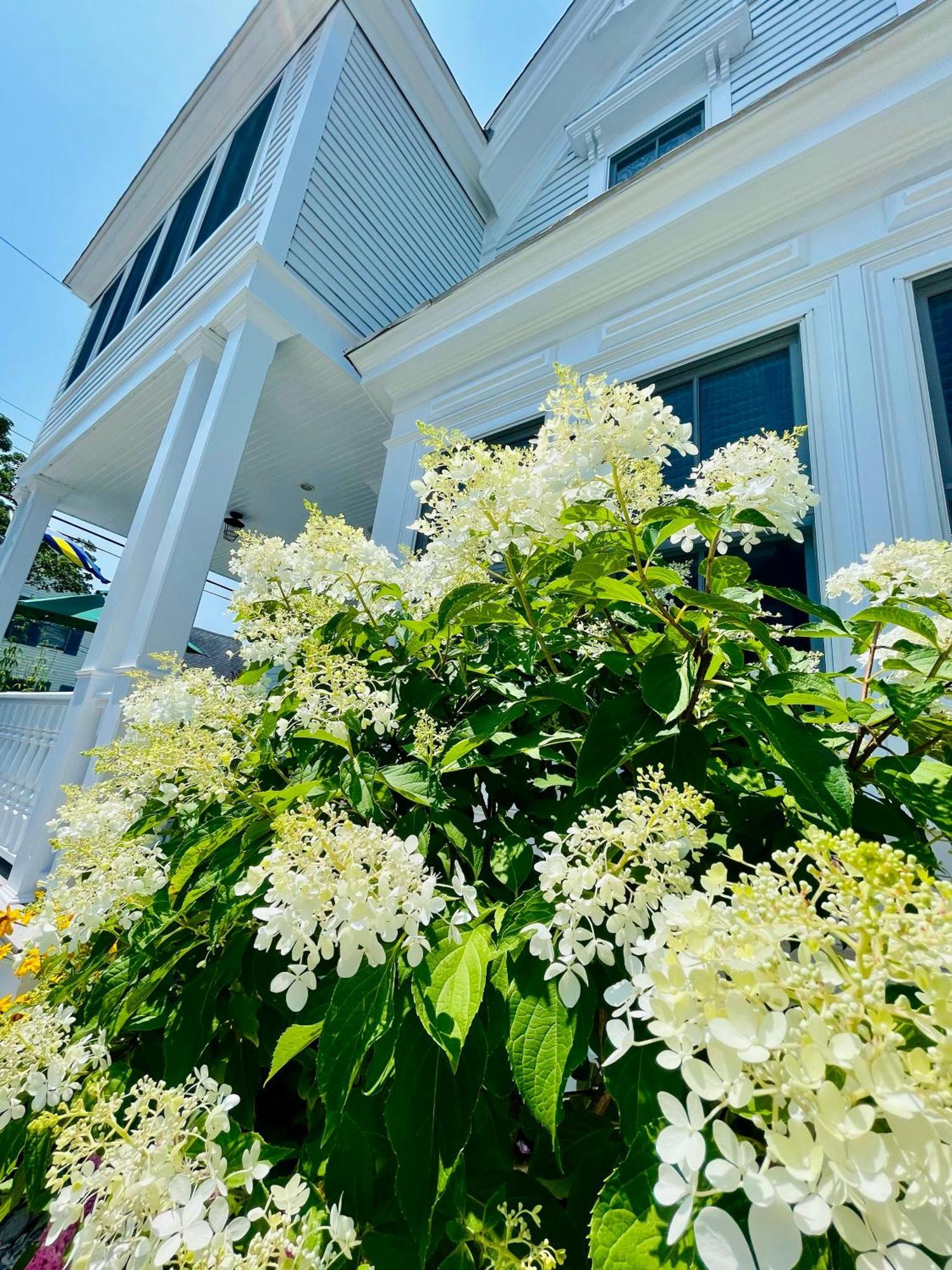 Guest house White Porch